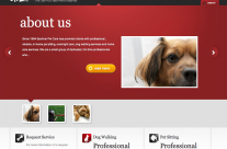 professional pet care services